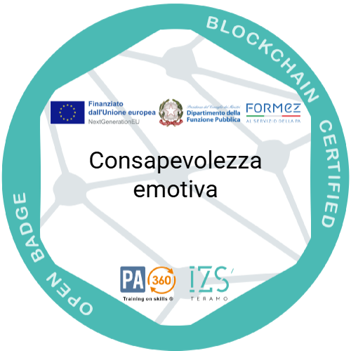 Badge pubblico 102487